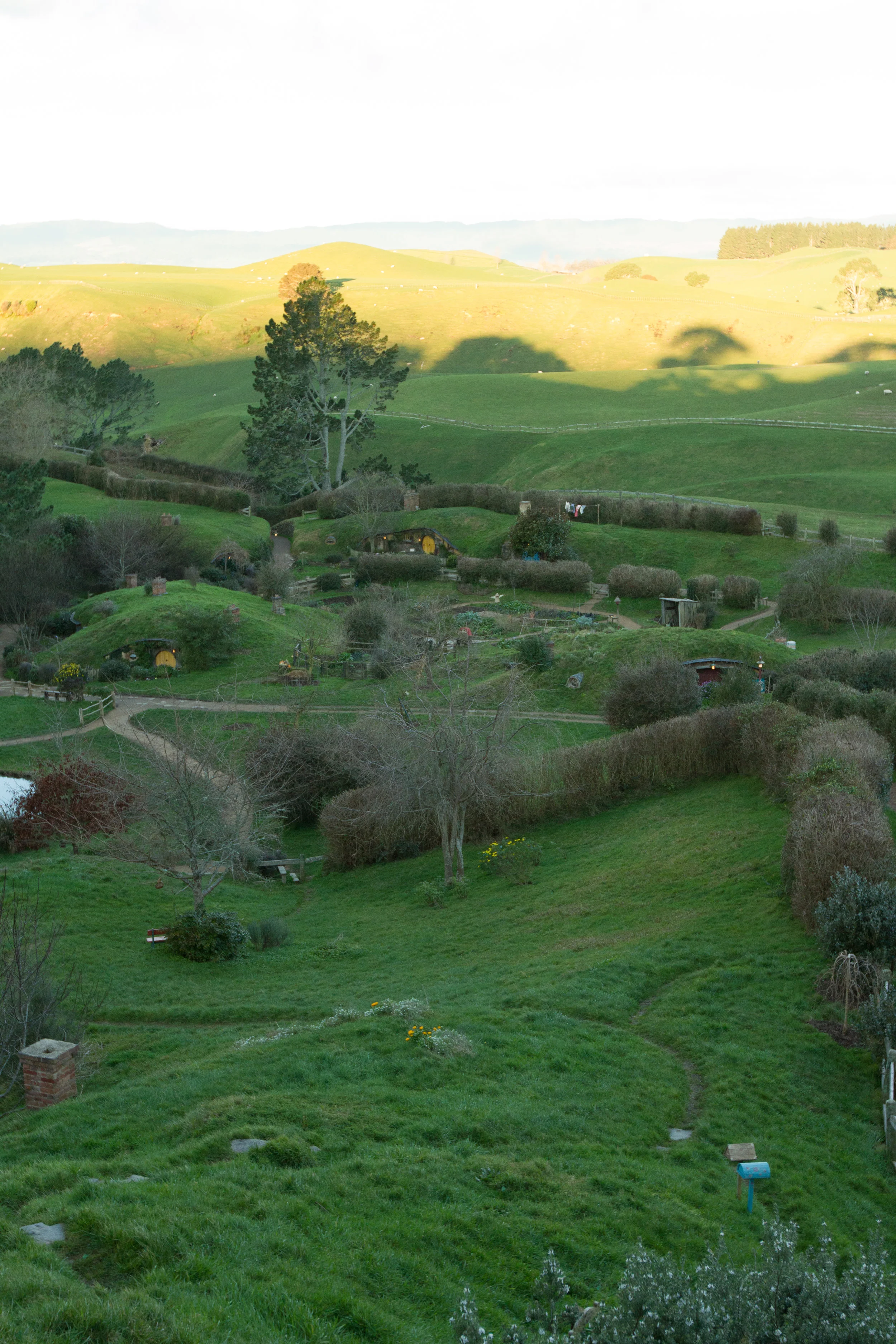 NZ-36.jpg