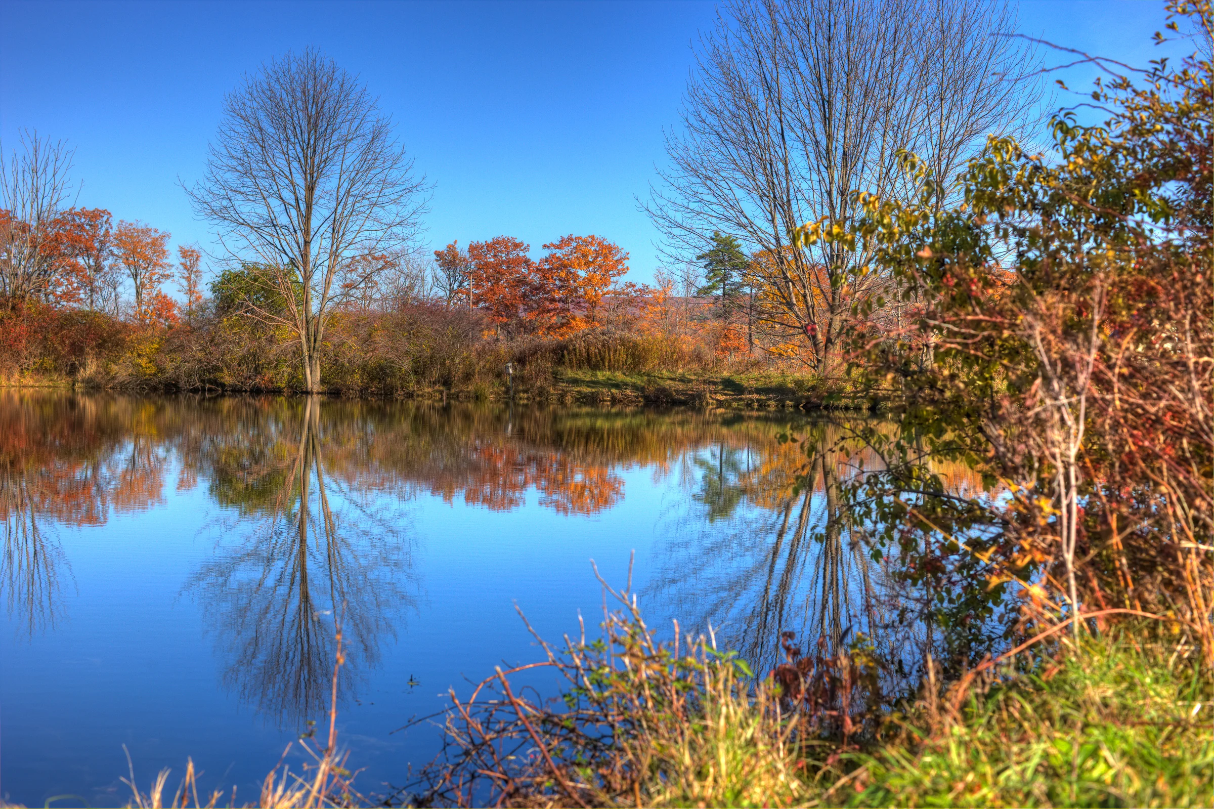 20091026-0974_5_6_tonemapped-2.JPG