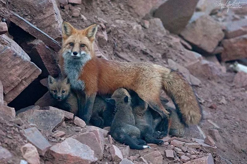 Time for a snack.