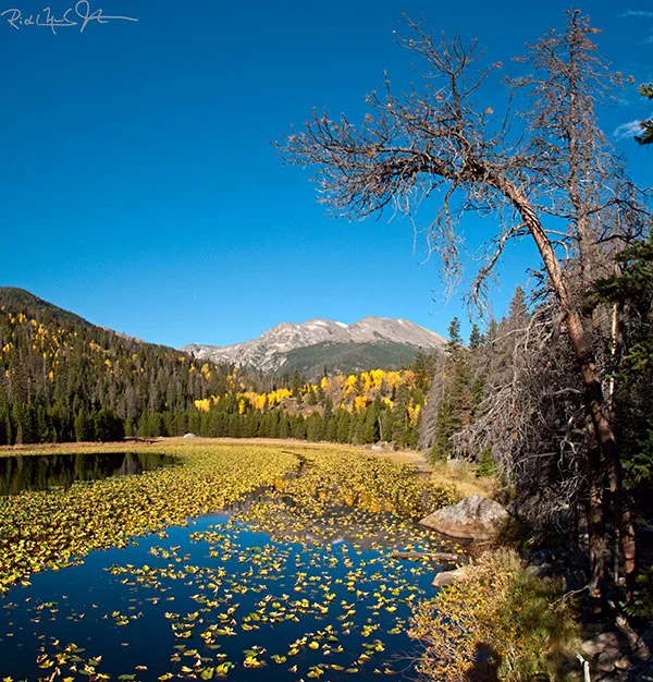 Cub Lake.