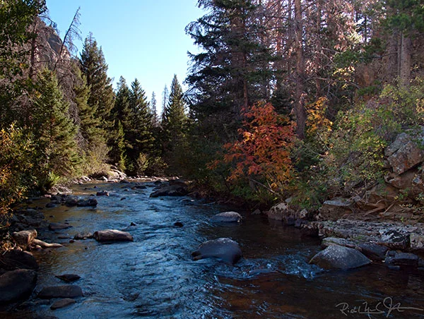 Sumac along the Big Thompson River.