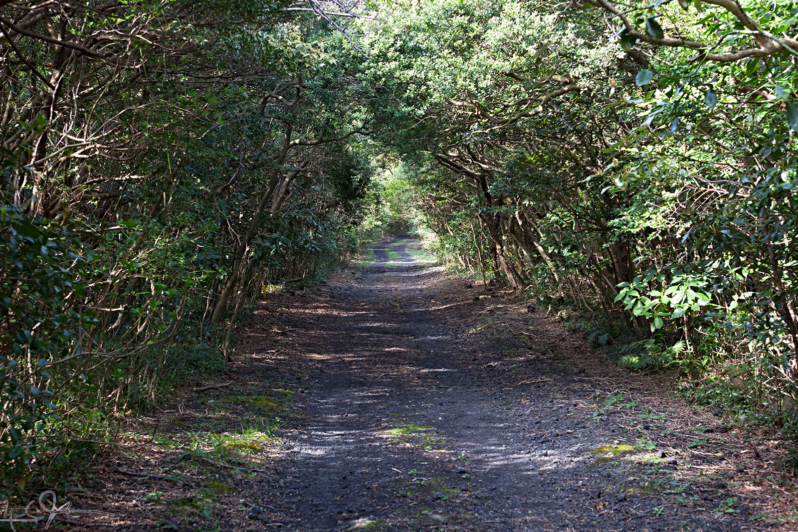 The last half kilometer to the hotel