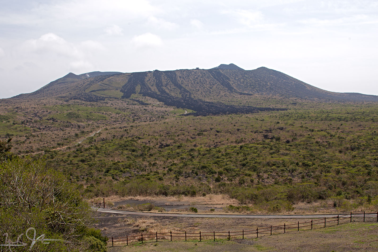 Mihara crater from near the 山頭口 bus stop