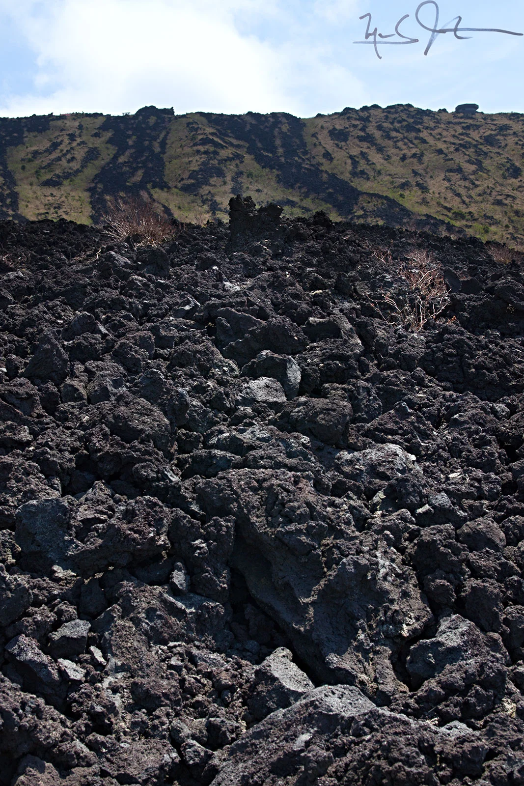 1115-5D-9653+9655.jpg