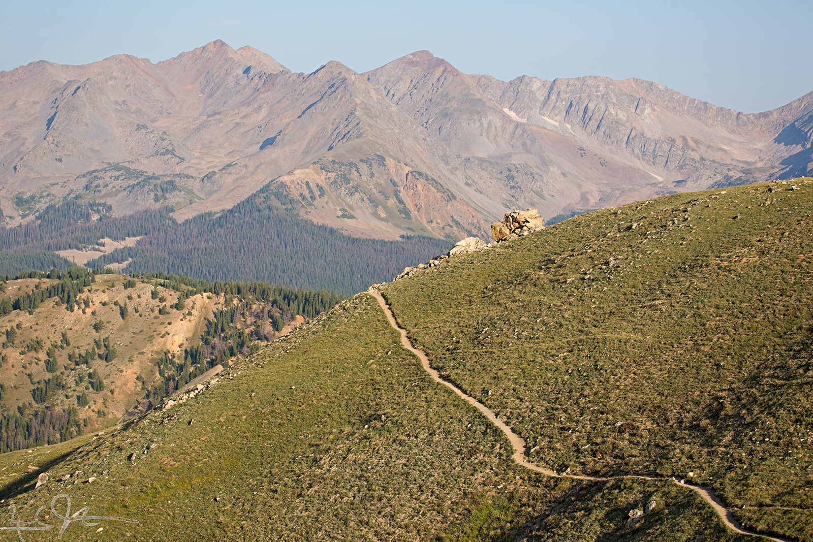 Many paths in addition to the human trail.
