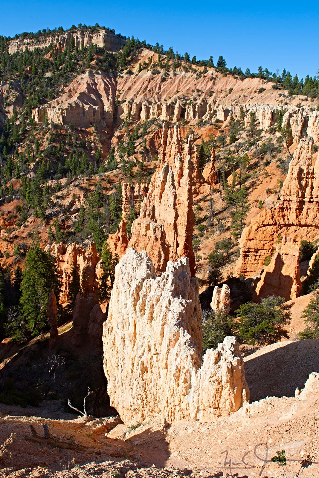 0724-_r3z1489.jpg