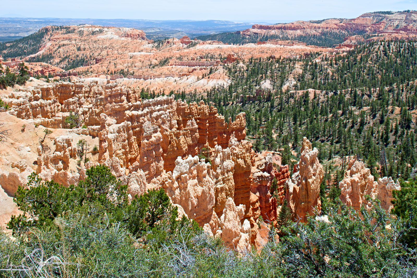 0724-_r3z1809.jpg