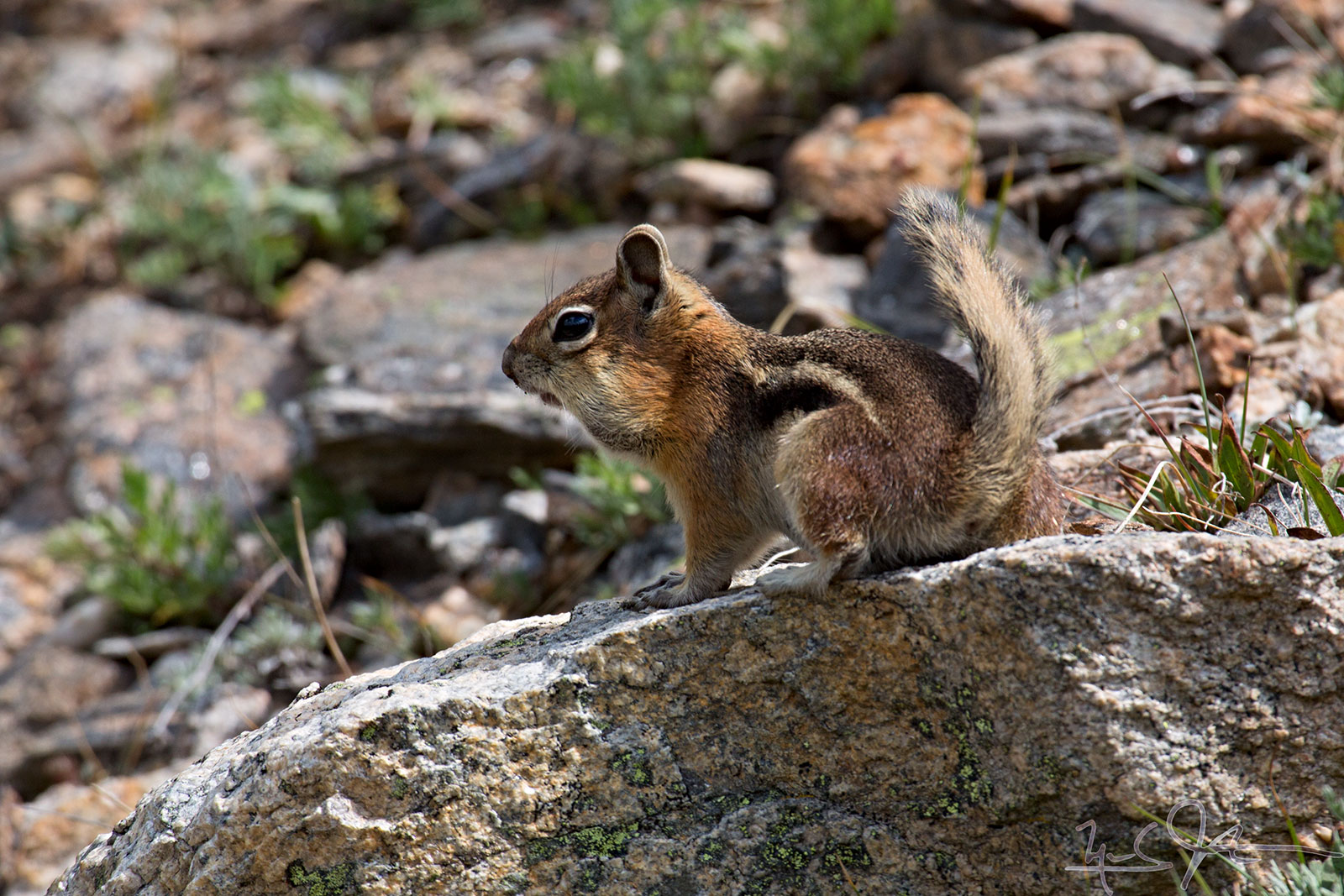 Storing up for the winter?