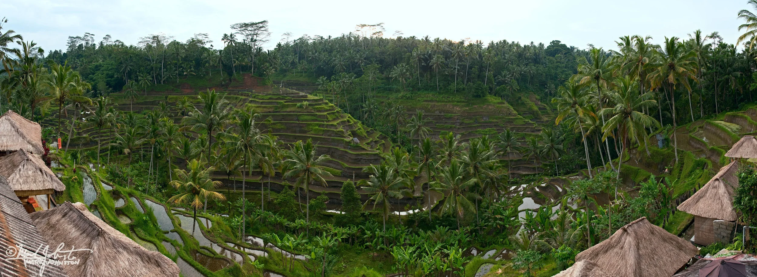 Terraced rice fields, Bali, Indonesia.