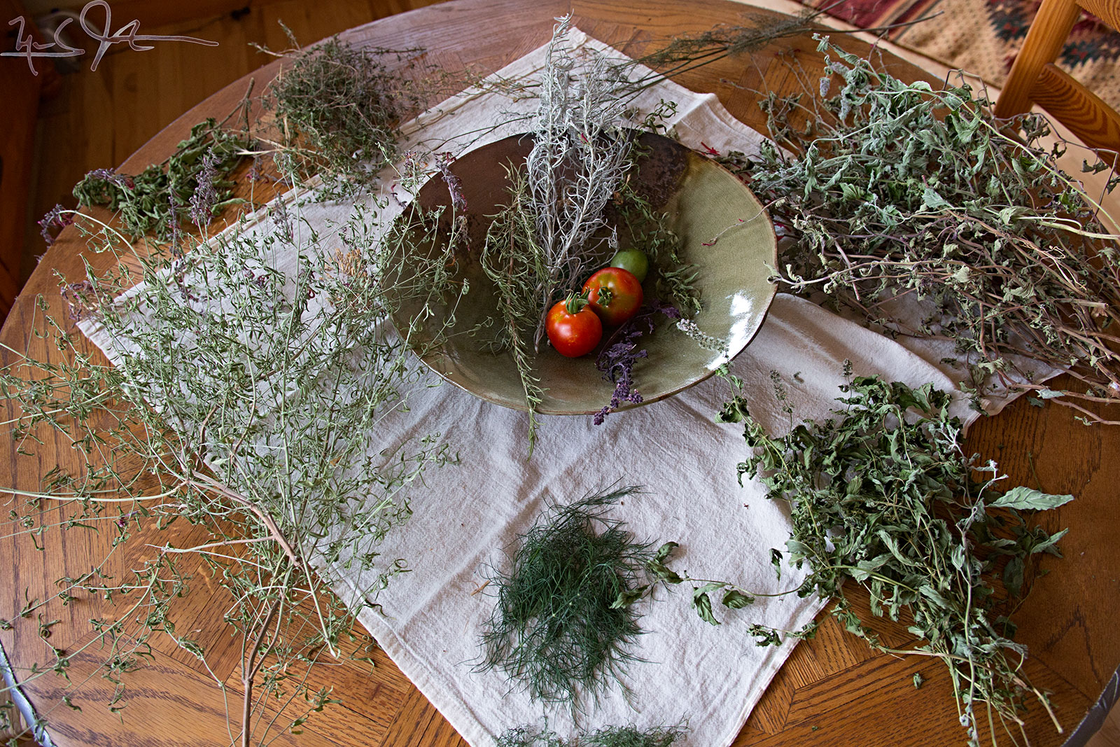 Counter-clockwise from 6 o'clock: dill, hyssop, stevia, thyme, dill on the stick, sage, and mint. In the dish from left to right: rosemary, curry, tomatoes, and purple basil, and a second variety of hyssop.
