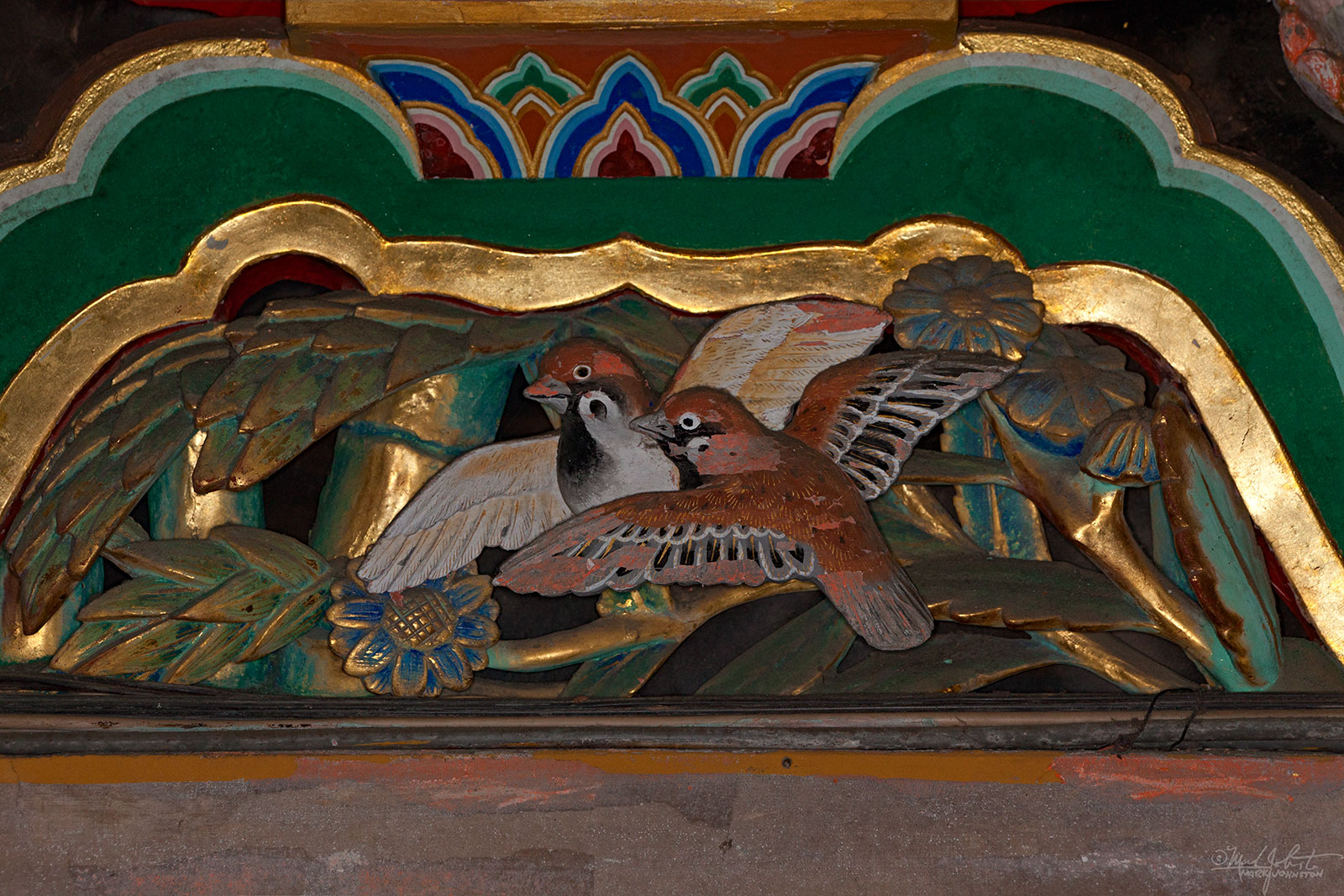 1031-5D-7482.jpg