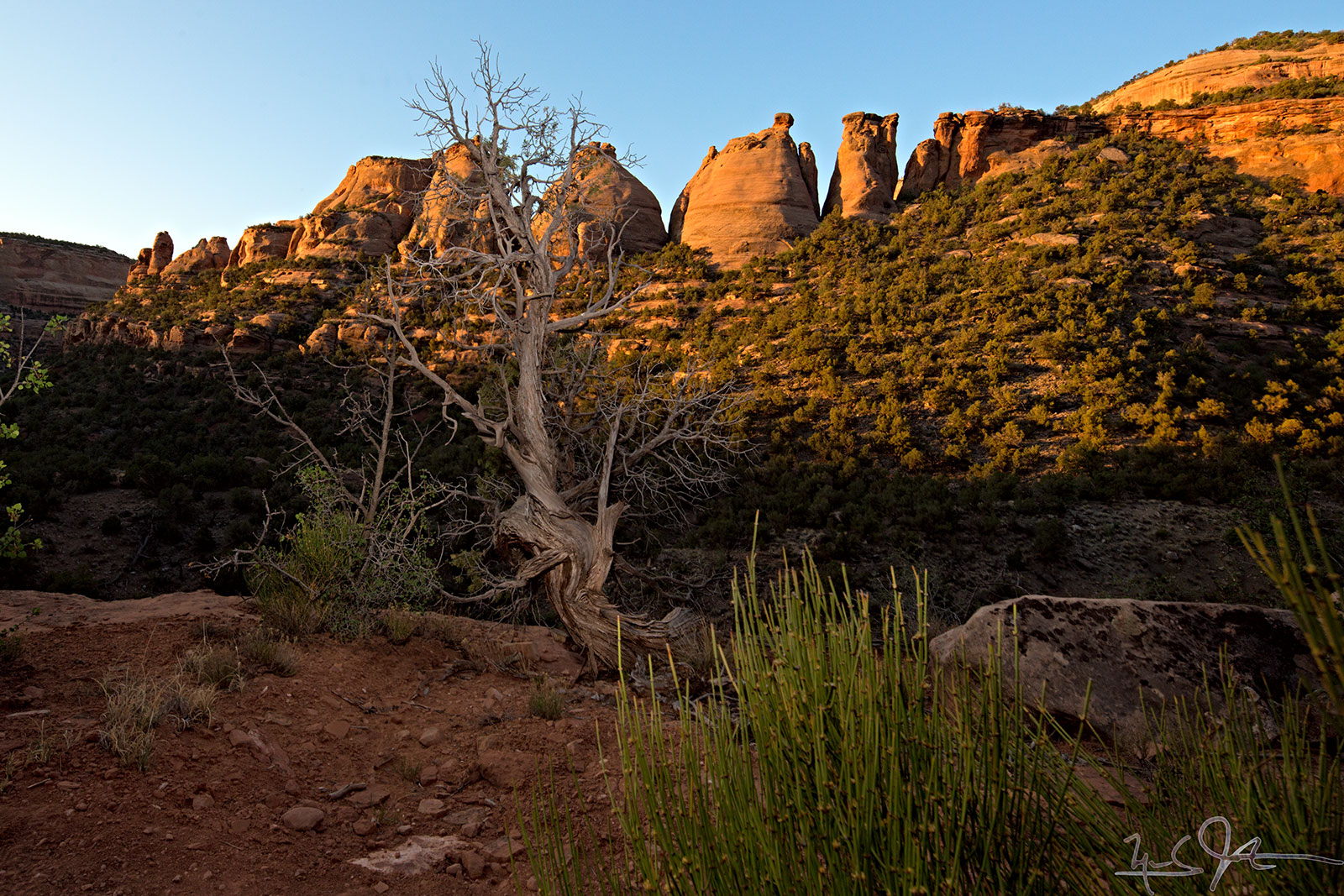 Another view of the Coke Ovens from below in early morning.