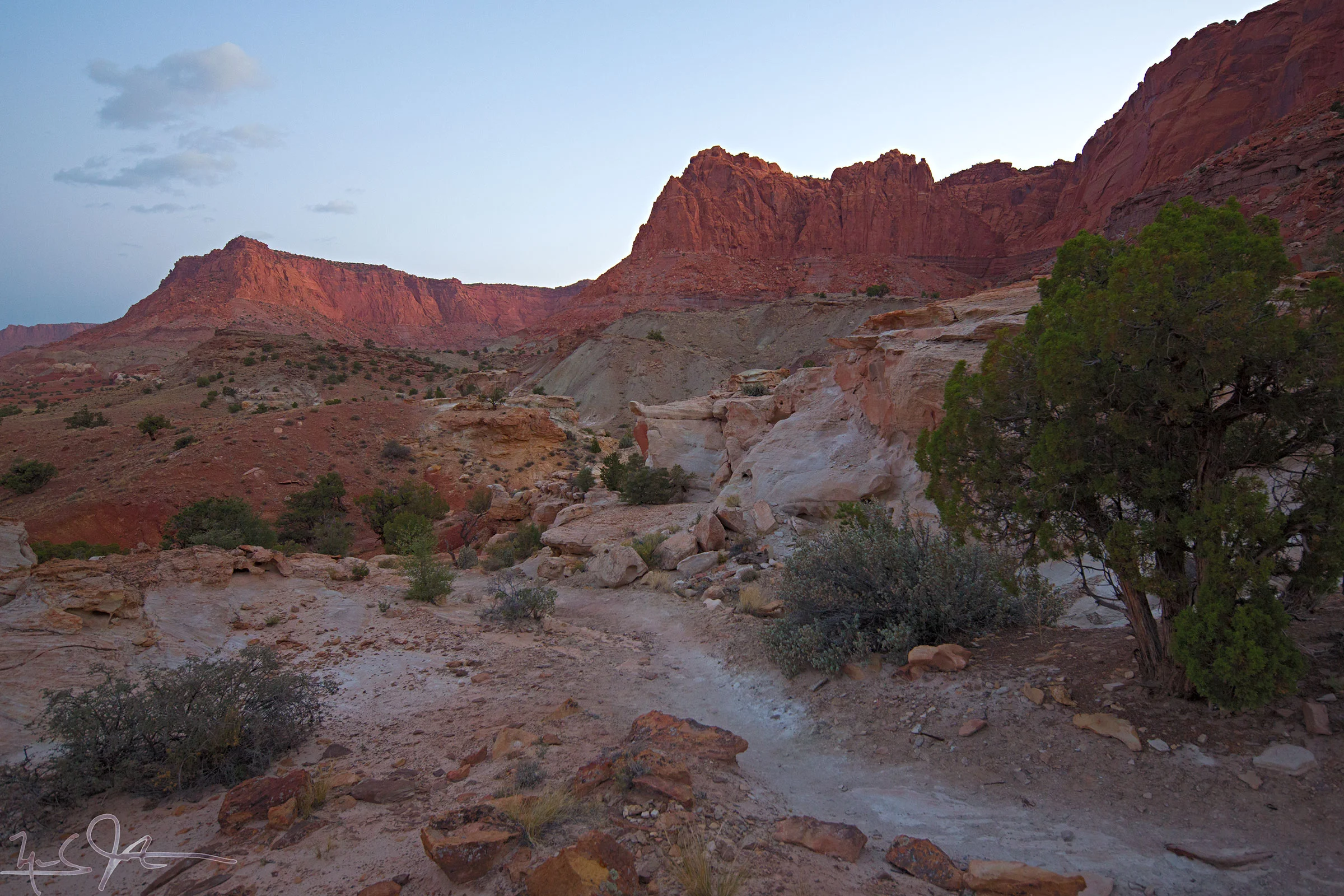 1221-_P2A-4592.jpg