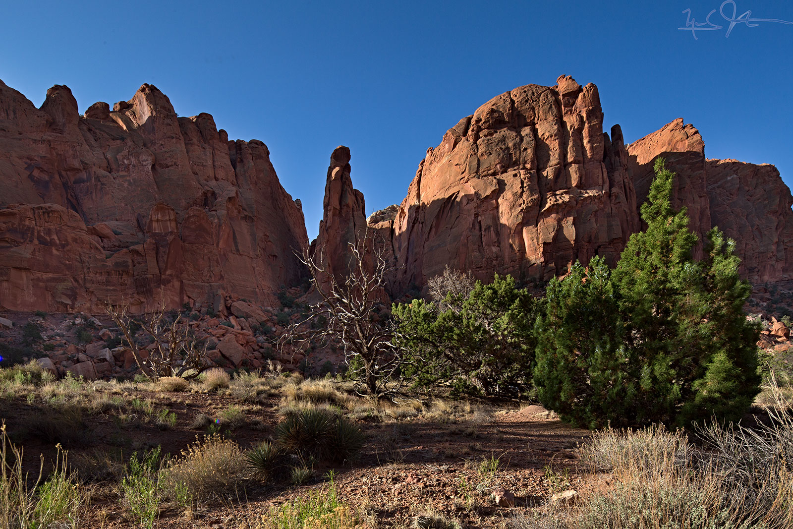 1221-_P2A-4822+4824.jpg