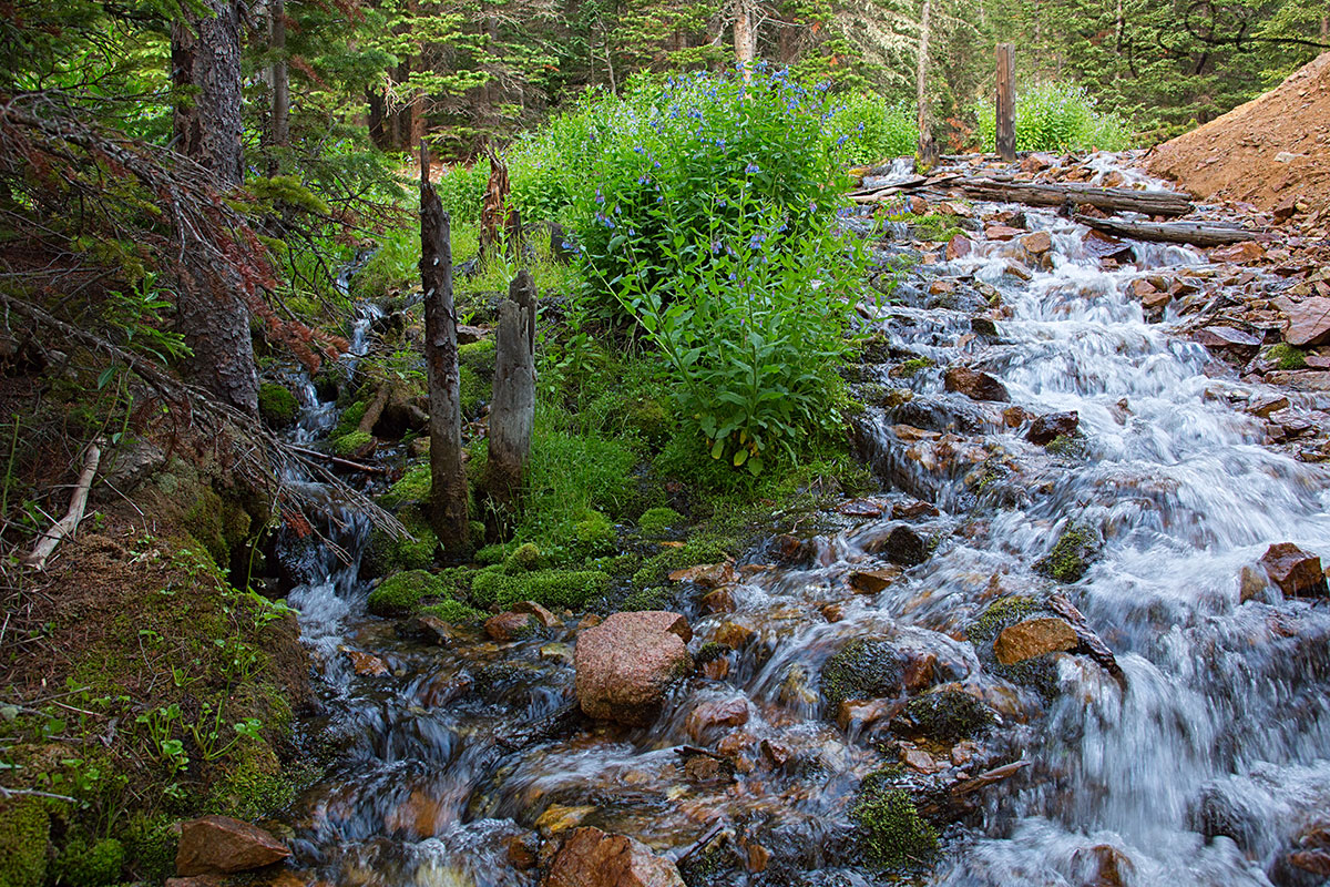 A cascade edges the tailings of the old Eugenia Mine.