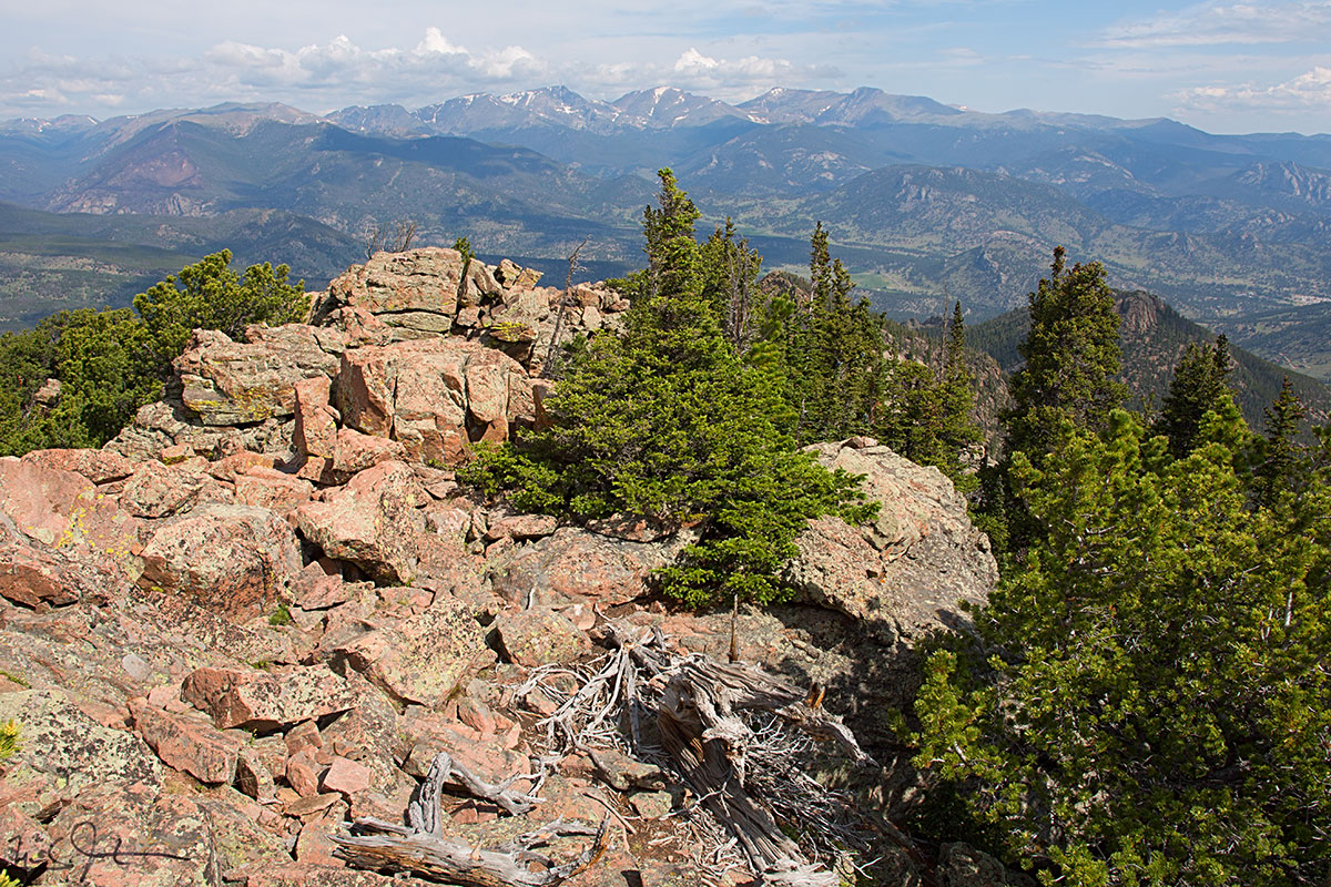 Looking West from the flank of Twin Sisters.