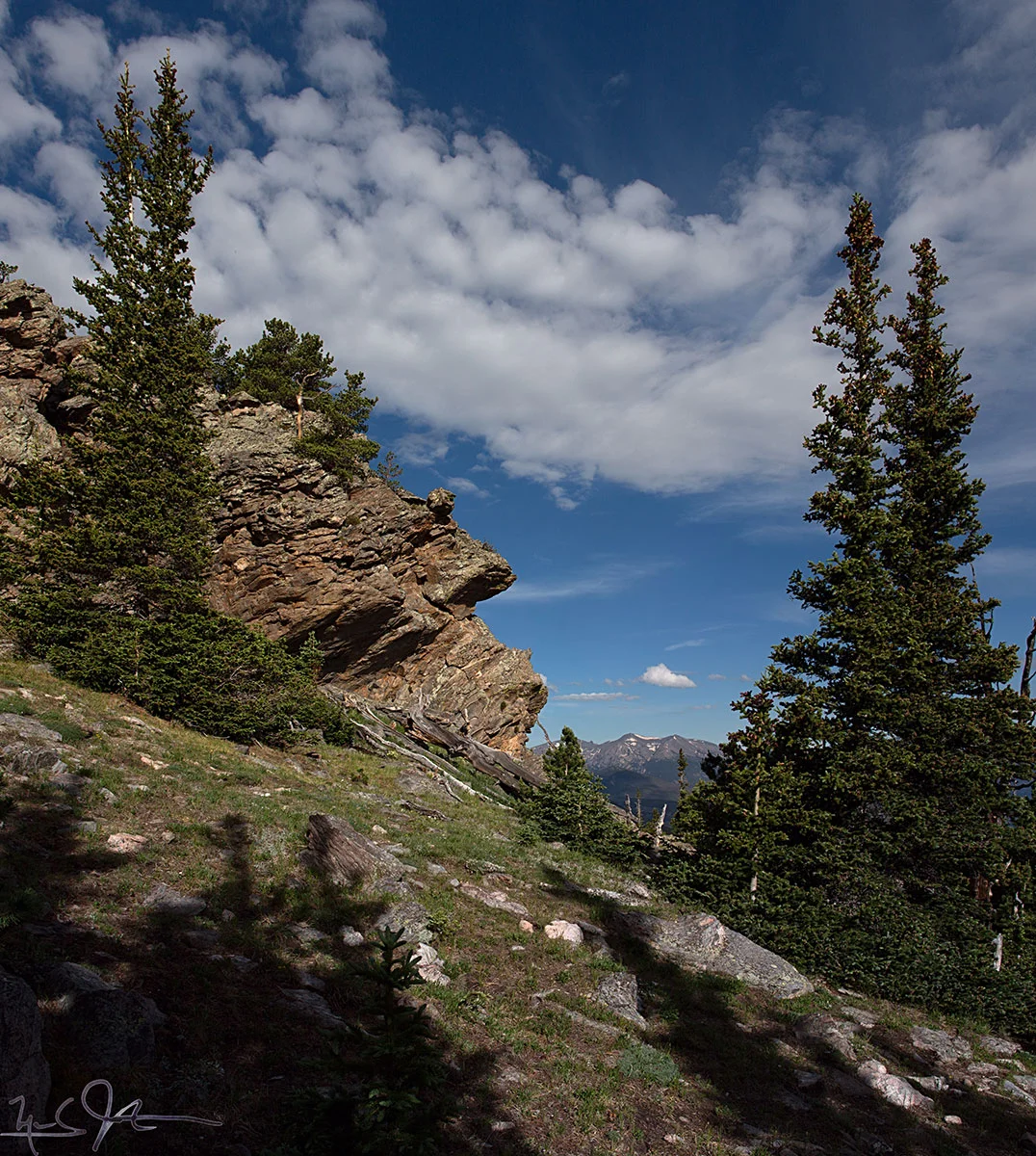 1327-_P2A-9953-9955.jpg