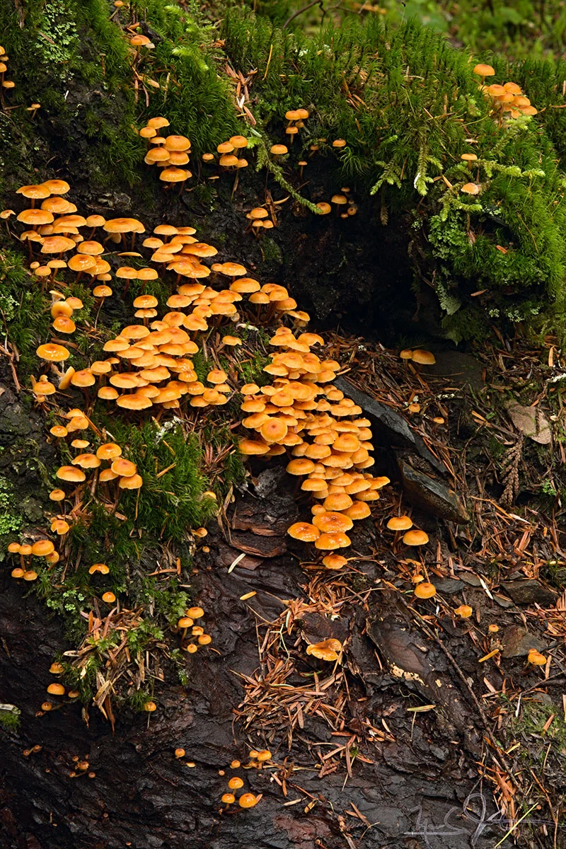 1339-_C9A-896.jpg