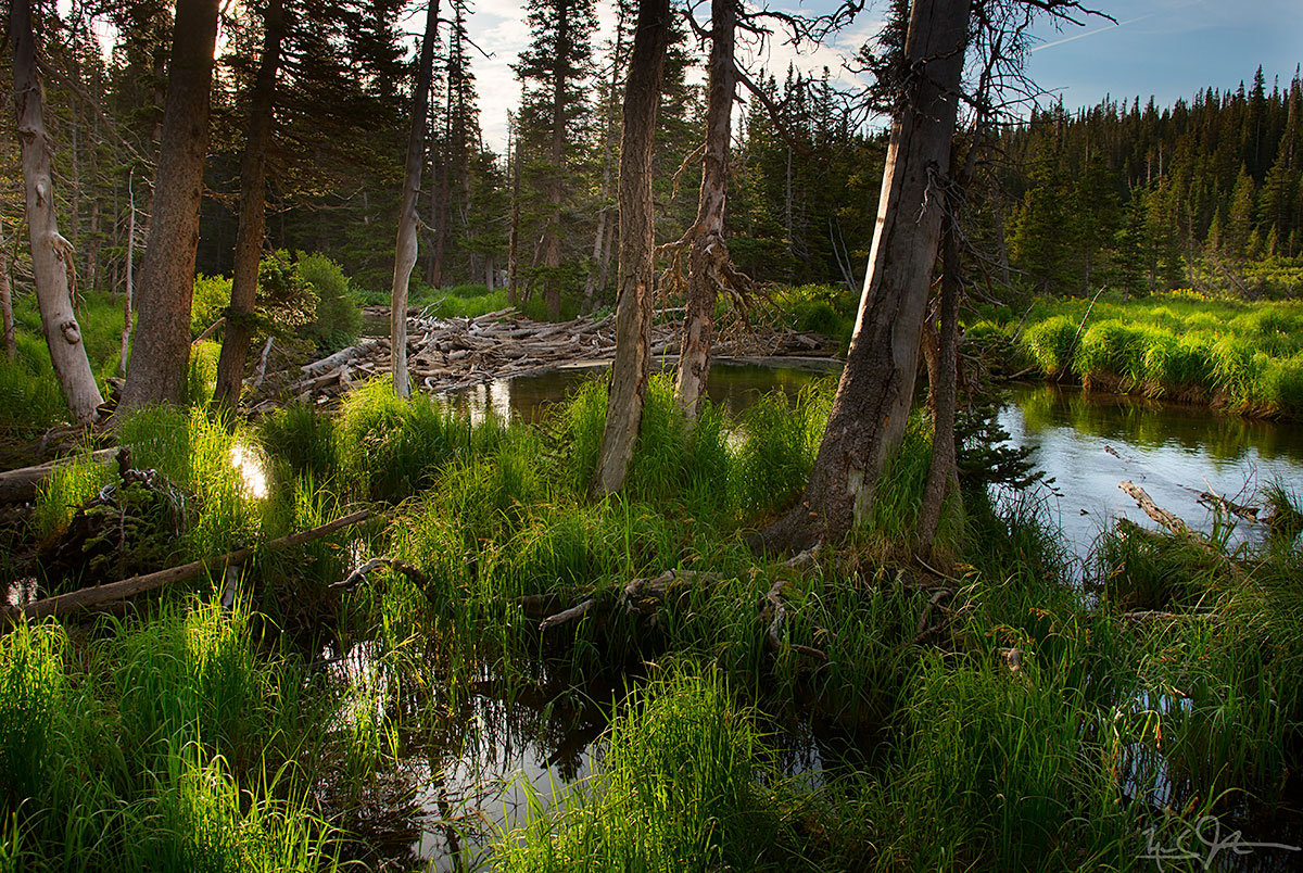 At the foot of Long Lake as it drains towards Brainard Lake.