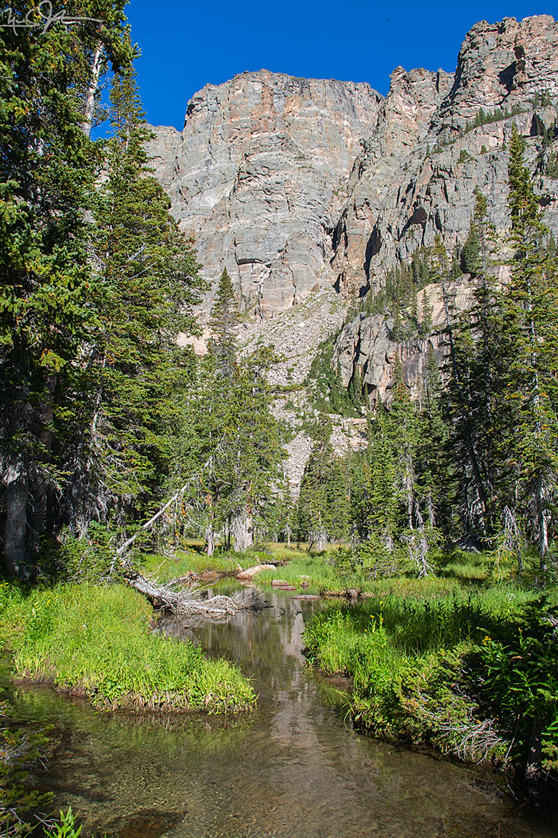Andrews Creek takes a more leisurely meander through the lower reaches before joining Icy Creek.