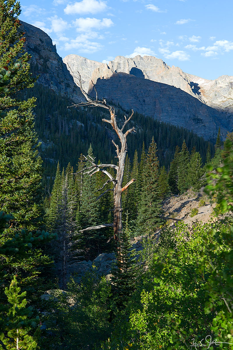 The Loch Vale Trail as it passes below the Glacier Knobs headed for The Loch.