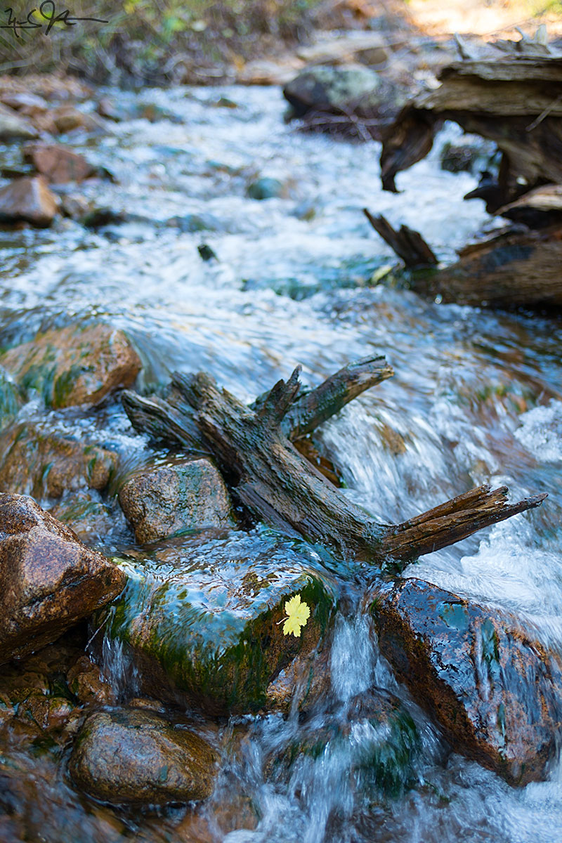 A tributary creek of the Big Thompson River.