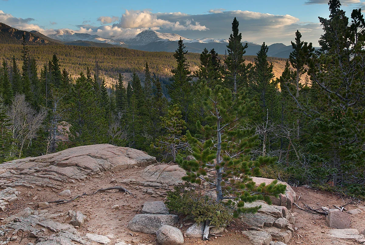 Looking north towards the Mummy Range from Glacier Creek Trail.