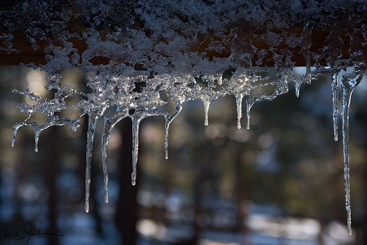 Goodbye, Winter!