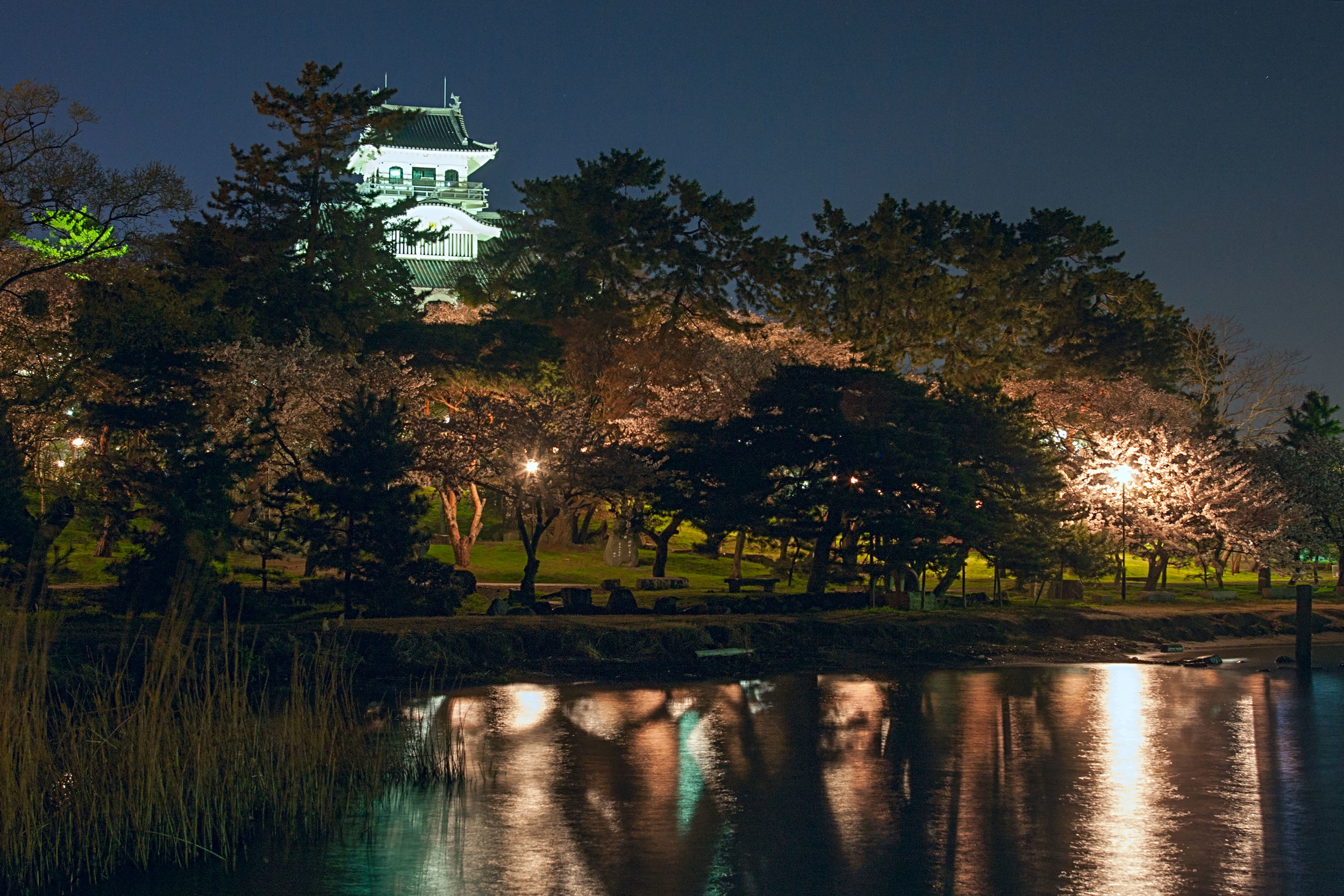 Nagahama Castle at night