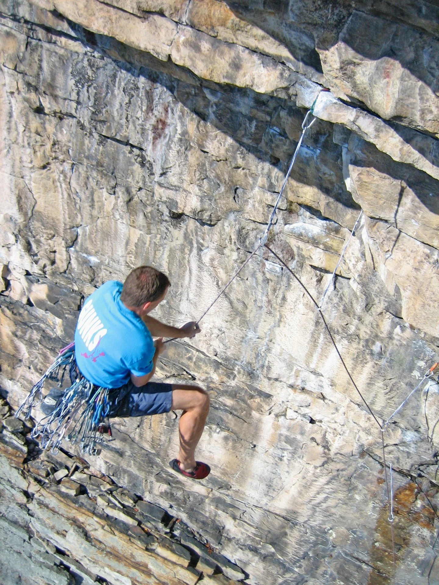 Dan Supp Fall.jpg