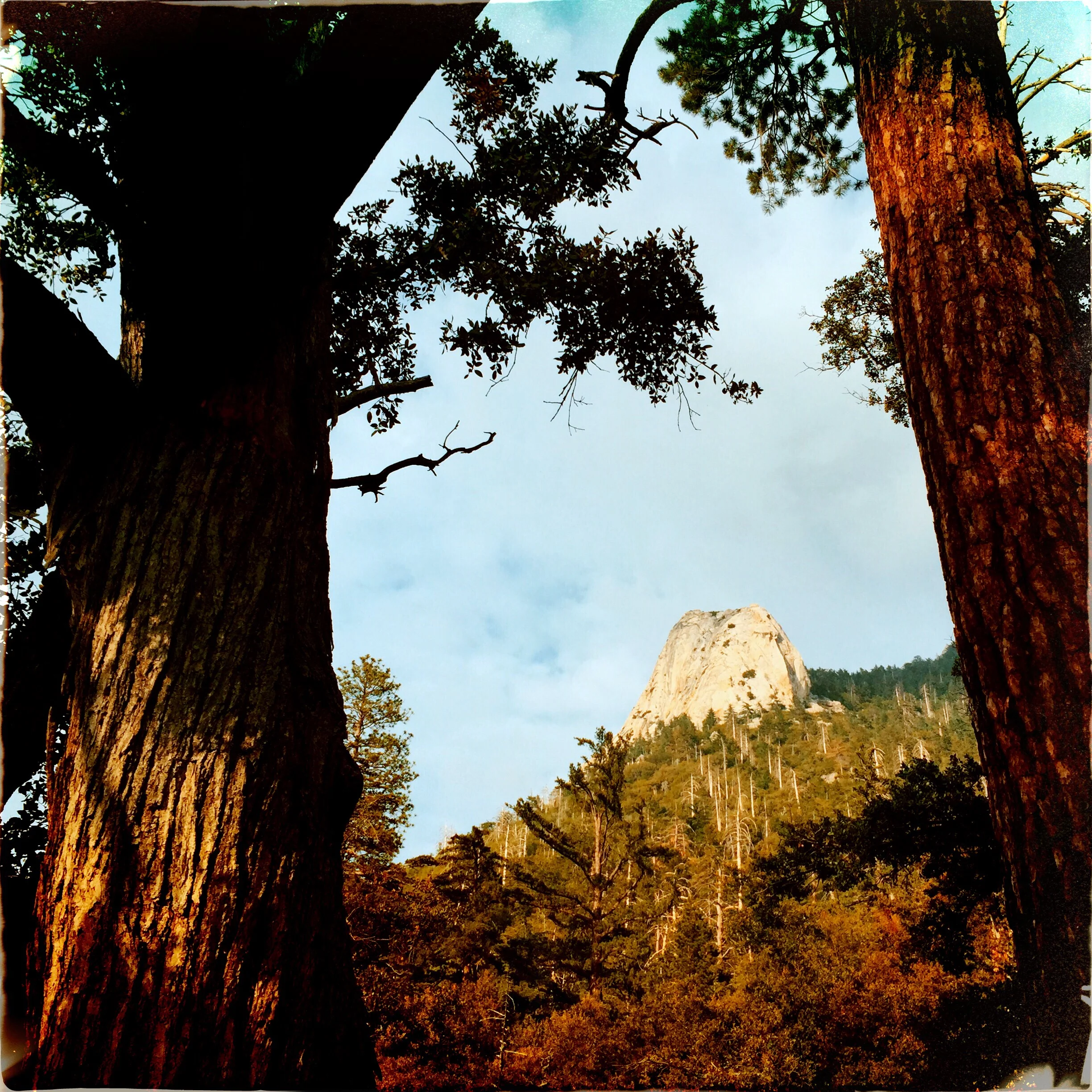 Idyllwild, CA