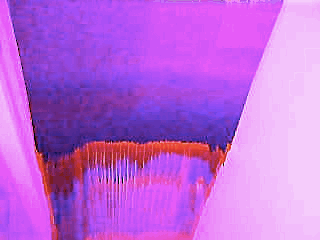 cat.gif