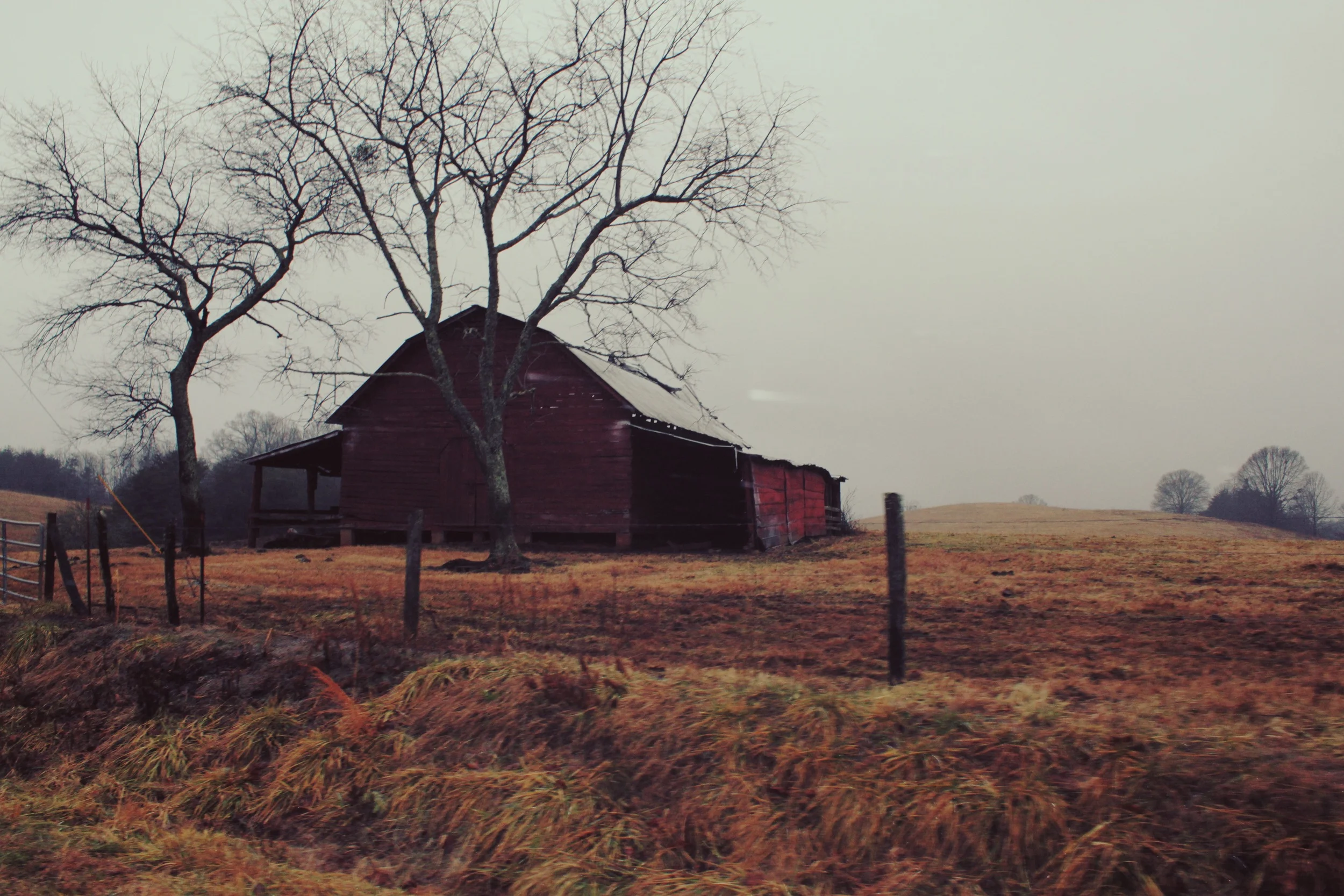 Pasture.jpg