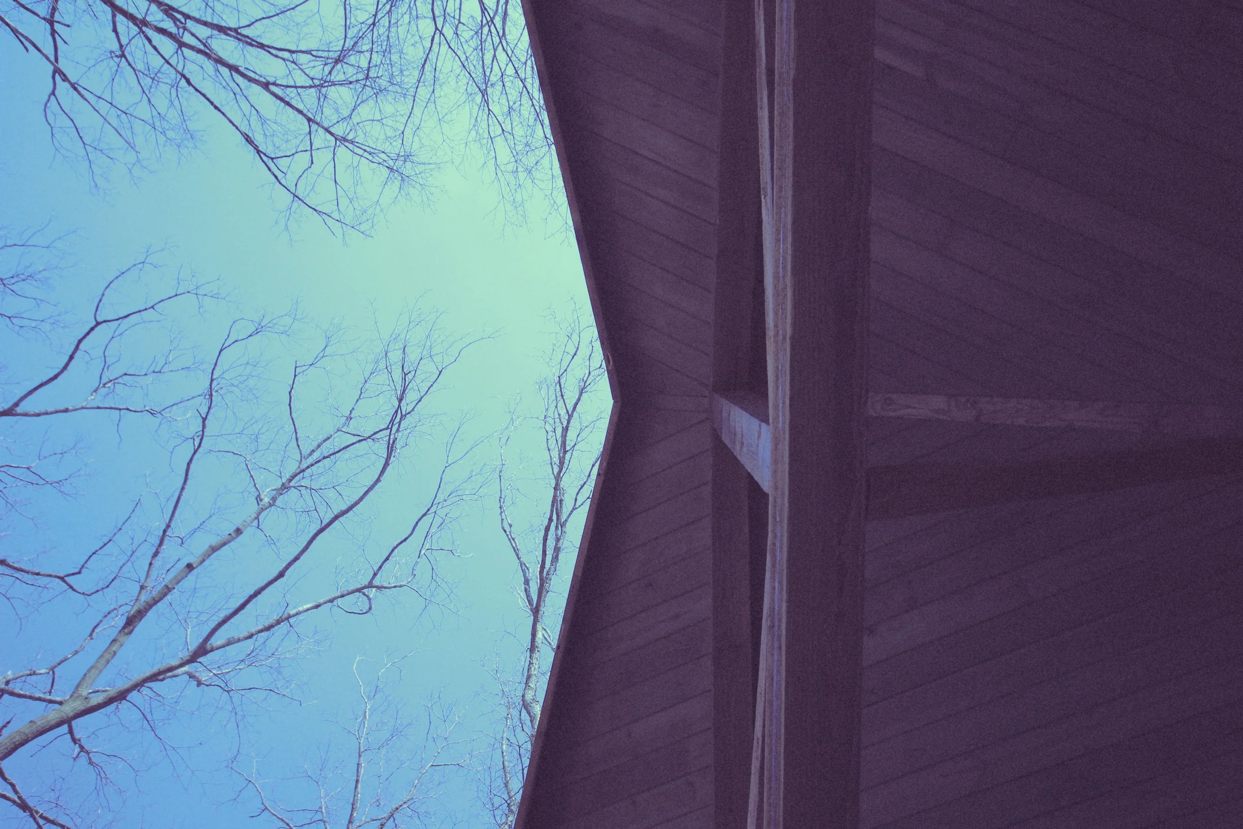 ceiling.jpg