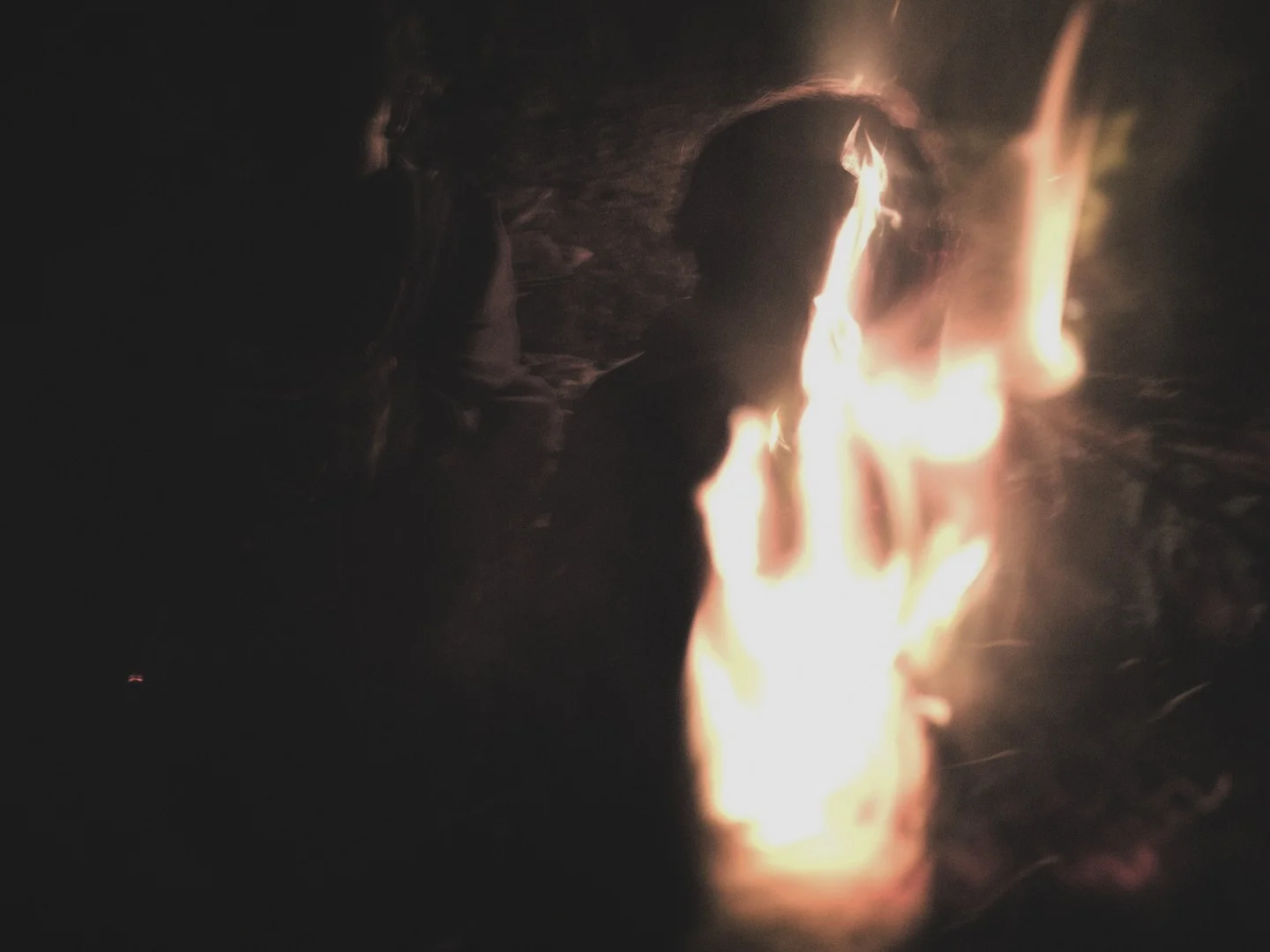 fire 2.jpg