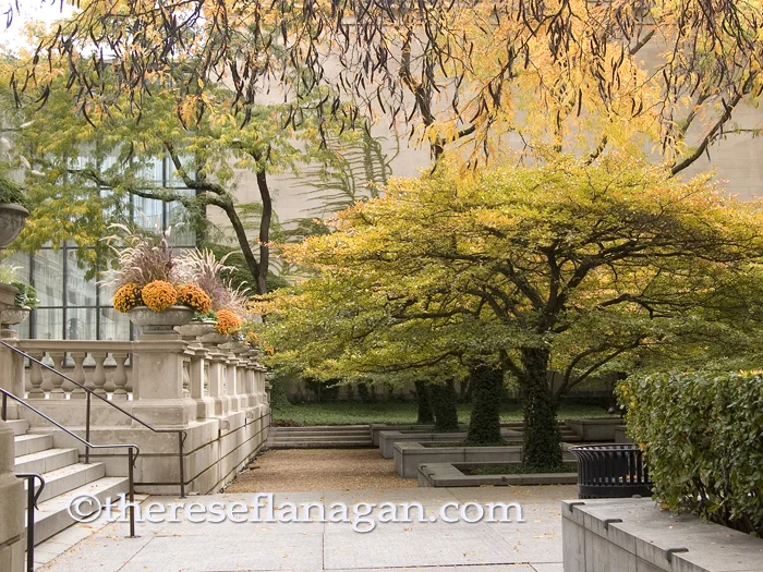 Autumn - Art Institute of Chicago South Garden