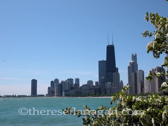 Chicago Skyline from Oak Street Beach