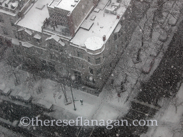 Snow Falling on Chestnut