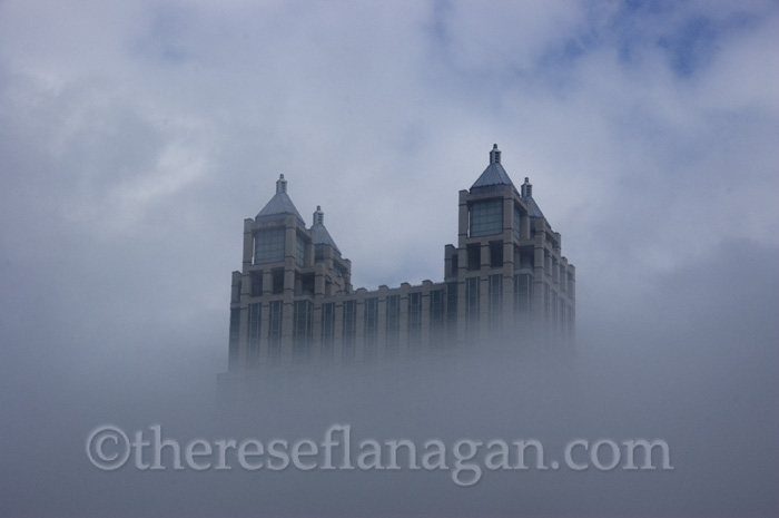 framed by fog.jpg