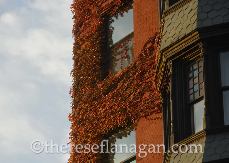 The Colors of Autumn