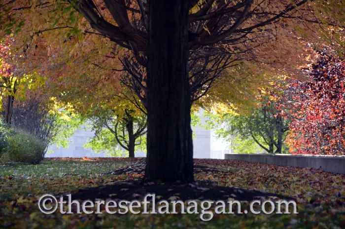 The Colors of Autumn