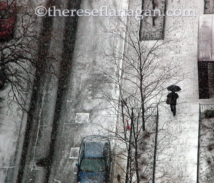Spring Snow with Black Umbrella