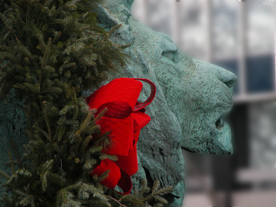 lion in winter sm.jpg