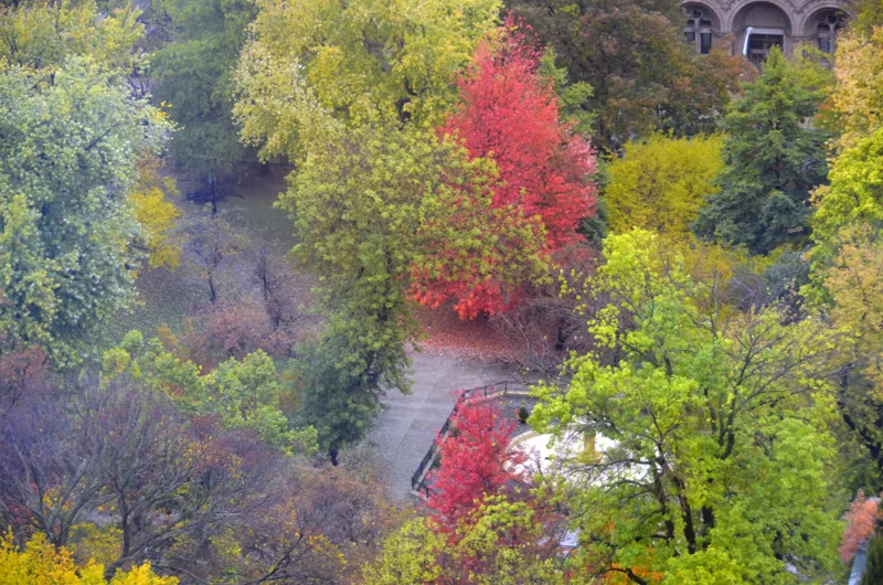 Autumn in Chicago - Washington Square Park - 2013