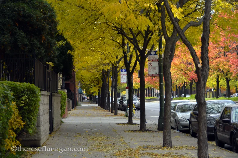 City Sidewalks - Chicago - Autumn 2013