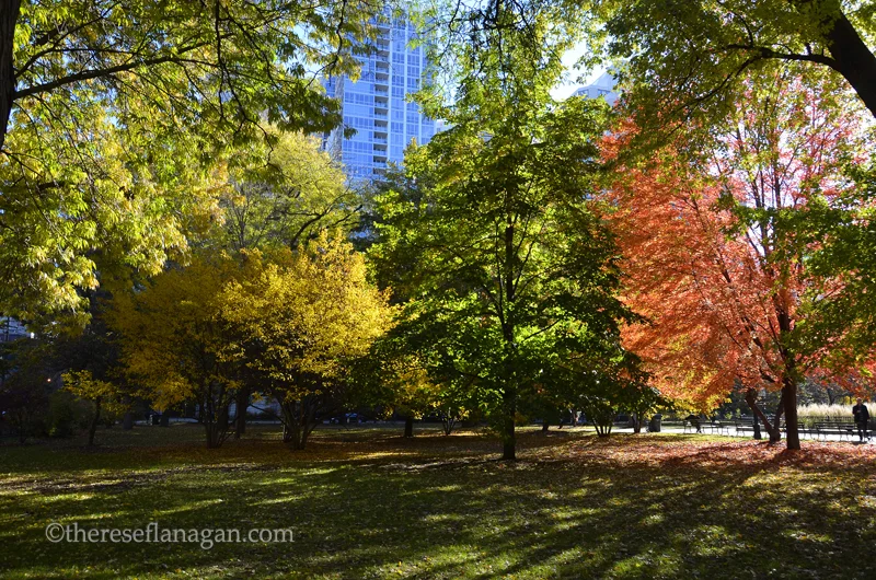 Autumn Light - Chicago 2013