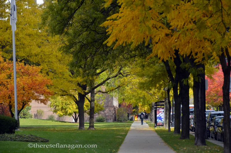 City Sidewalks - Autumn in Chicago 2013 (2)