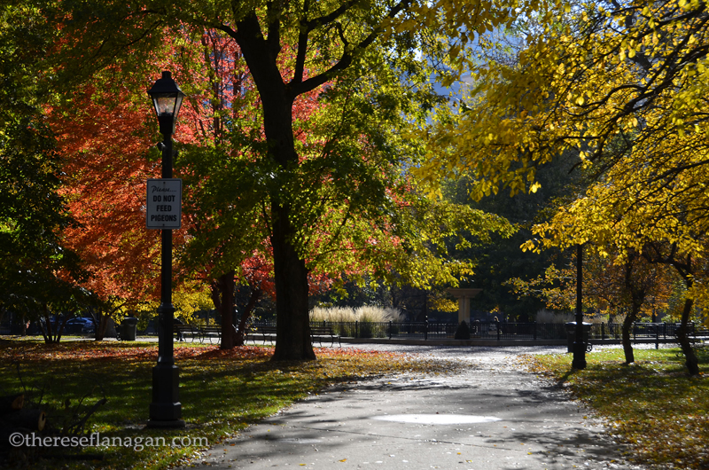 Washington Square Park - Chicago - Autumn 2013