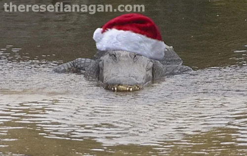 Merry Christmas from the Swamp