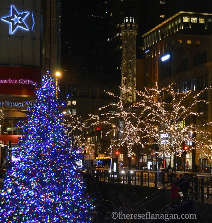 Chicago - Christmas Time in the City - 2013
